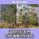 CU청북원룸단지점 주변 | 공업단지주변 나무벌목전지작업
