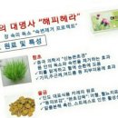 변비해결사해피헤라