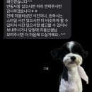 행복하개키울고양 이미지