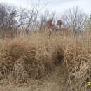 남해 금빛 이미지