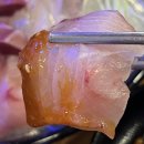 회꽃피는밤 이미지