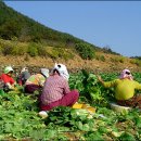 한려개발주