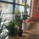 꽃밭주유소 이미지