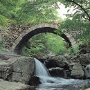 순천-25호 이미지