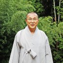 역경(譯經)하는 송광사 인월암 원순 스님 이미지