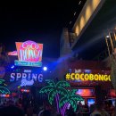 클럽 코코 관광나이트 이미지