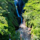 봉래횟집 이미지