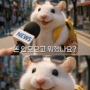 경기도 수원시 팔달구 정조로777번길 | 당당한 임당녀의 화이트데이 주말 일상