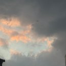 보꾸시루 | 연산 시골통돼지볶음 그리고