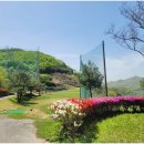 계룡산골프연습장 | 대전 파3골프장 계룡산골프연습장 내돈내산 주말 이용 상세후기