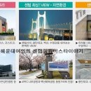 비스타661