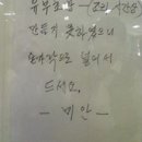완도금일회타운