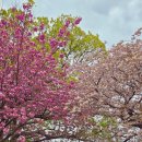 선흘1리 경로당 이미지