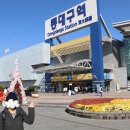 영천한의마을 한의마 이미지