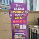 큐사랑 염색방