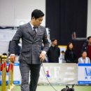 프라임킴 프렌치 불독 이미지