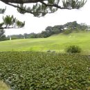 경주신라컨트리클럽 이미지