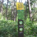 상마 이미지