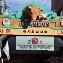 황소와돼지 네이버블로그