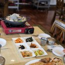 성산 애견농장 | 제주 강아지 애견동반 가능한 맛집 제주도 조천 식당
