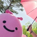 서원밸리 대중골프장 | 2025 우리금융 챔피언십 작년 리얼 후기와 관람 꿀팁, 무료 티켓 정보까지 총정리