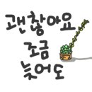 향산  마을회관 이미지