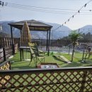 별이애견 이미지