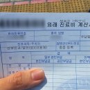 두리그루밍 | [일상] 면역항암제 옵디보 2차 - 1주 후기, 부작용 출현