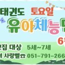 기품태권도 이미지