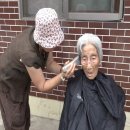 사천농장 이미지