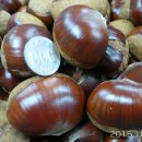 선유농장 이미지