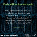 분당화랑 유도&주짓수 | 판교PT Craig Liebenson이 말한 진짜 회복 - 내한 교육