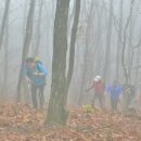 등산은 내 일상의 비타민 - 13회차 이미지