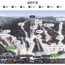 휘닉스 스노우파크 이미지