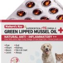 네이쳐펜션3 이미지