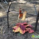 숲으로 가는 어린이집 이미지