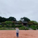 유교부식회 관련문서 | 강릉 아이와 가볼만한곳 오죽헌 율곡기념관 강릉화폐전시관