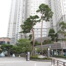 제니스키즈어린이집 이미지