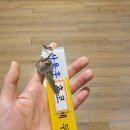 배내골펜션 솔밭휴양림 이미지