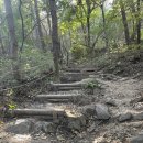 무학산 둘레길 | 창원 (마산) 무학산 (25. 11. 2)