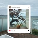 (주)이마트 포항점 애완/원계 | [숙소리뷰] 포항 레드하우스 오션힐즈 가성비 좋은 오션뷰 감성 풀빌라 추천