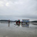 마시안스테이 | [영종도] 마시안 갯벌체험장 아이랑 조개캐기 준비물, 마시안스테이 1박 후기!