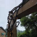 선회농장 이미지