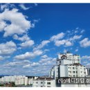 파란메디칼(주) 이미지