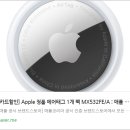 익명동물2005-식 | 🔑 Apple 정품 에어태그 1팩 (MX532FE/A) 리뷰 : 잃어버림 걱정 끝! 내 물건을 지켜주는 작은 천재