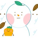 수지세탁 네이버블로그