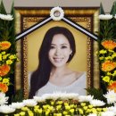 유채영 카카오 검색결과