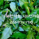 용규농장 이미지