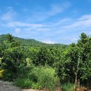 김민경공인중개사사무소 이미지