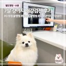 수원 동물병원 추천 | 돌봄동물병원 7살 강아지 건강검진 후기